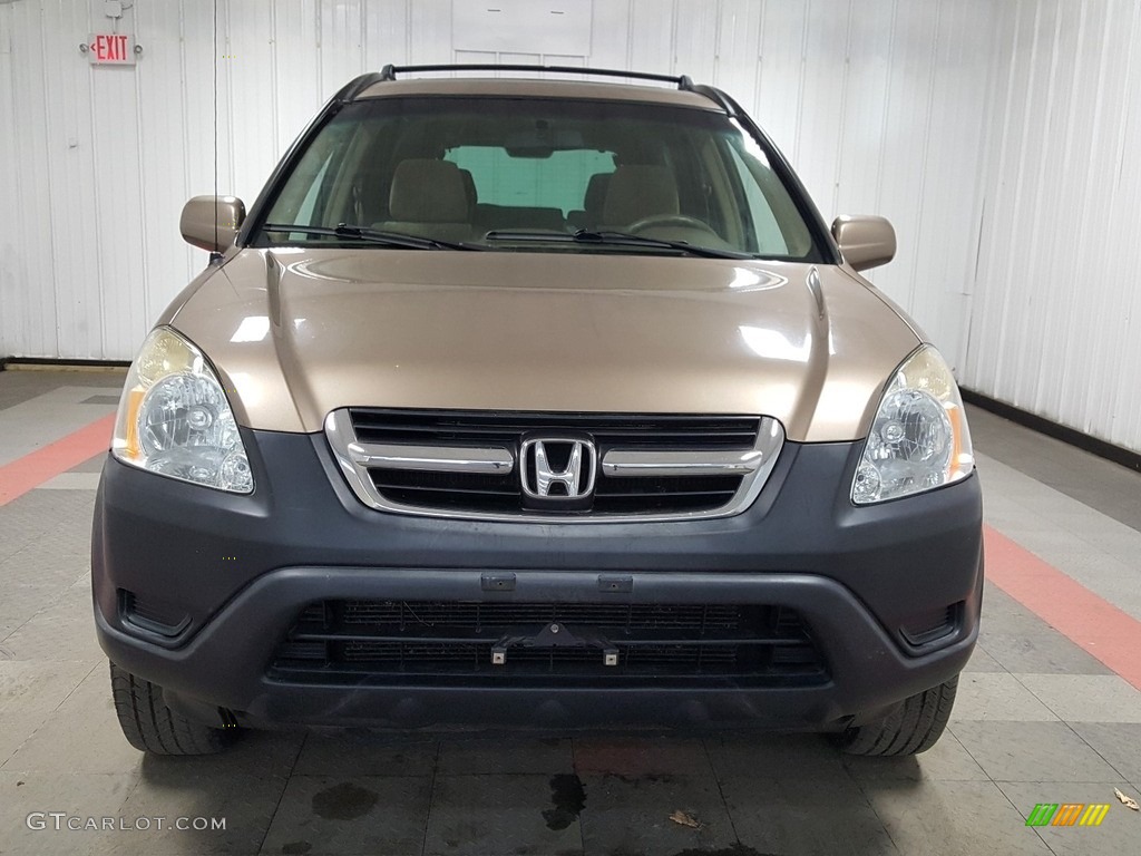 2004 CR-V EX 4WD - Mojave Mist Metallic / Saddle photo #3