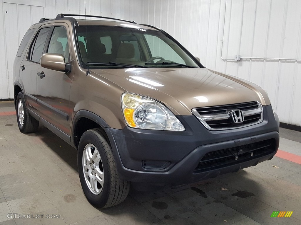 2004 CR-V EX 4WD - Mojave Mist Metallic / Saddle photo #4