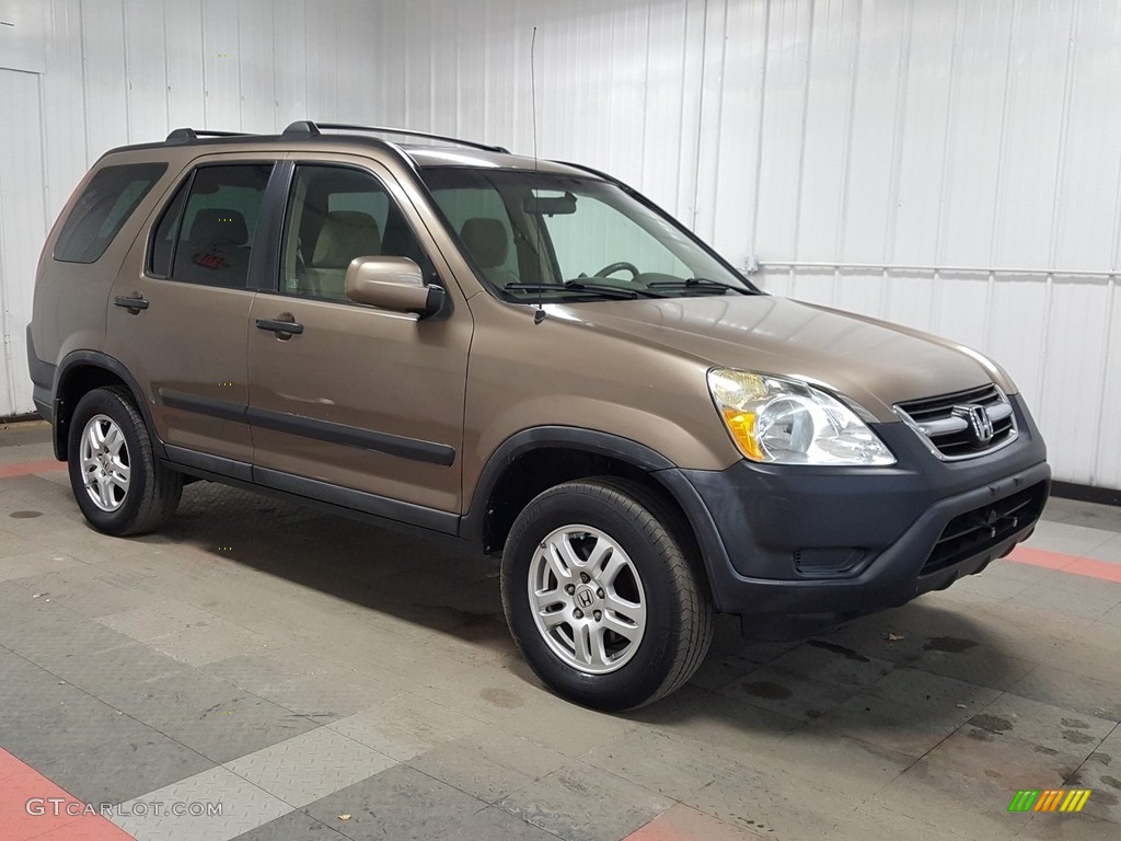 2004 CR-V EX 4WD - Mojave Mist Metallic / Saddle photo #5