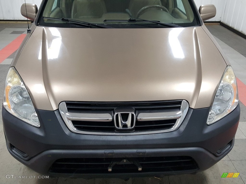 2004 CR-V EX 4WD - Mojave Mist Metallic / Saddle photo #33