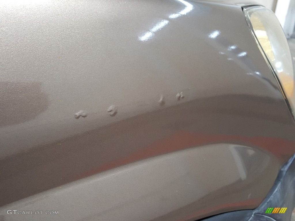 2004 CR-V EX 4WD - Mojave Mist Metallic / Saddle photo #36