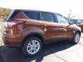 2017 Canyon Ridge Ford Escape SE 4WD  photo #2