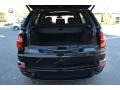 Carbon Black Metallic - X5 xDrive 50i Photo No. 22