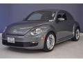 Platinum Gray Metallic - Beetle 2.5L Photo No. 3