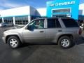 2006 Graystone Metallic Chevrolet TrailBlazer LS 4x4  photo #3
