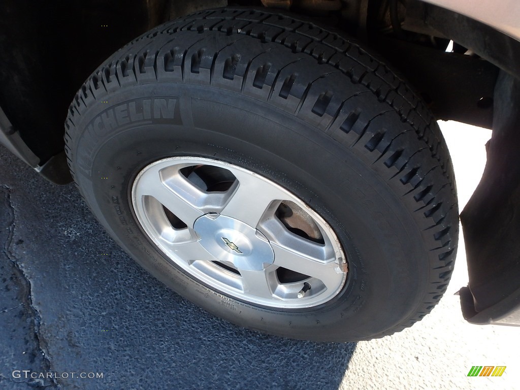 2006 TrailBlazer LS 4x4 - Graystone Metallic / Light Gray photo #14