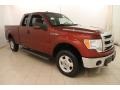 2014 Sunset Ford F150 XLT SuperCab 4x4 #116944708