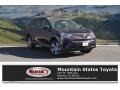 Black Current Metallic - RAV4 LE AWD Photo No. 1
