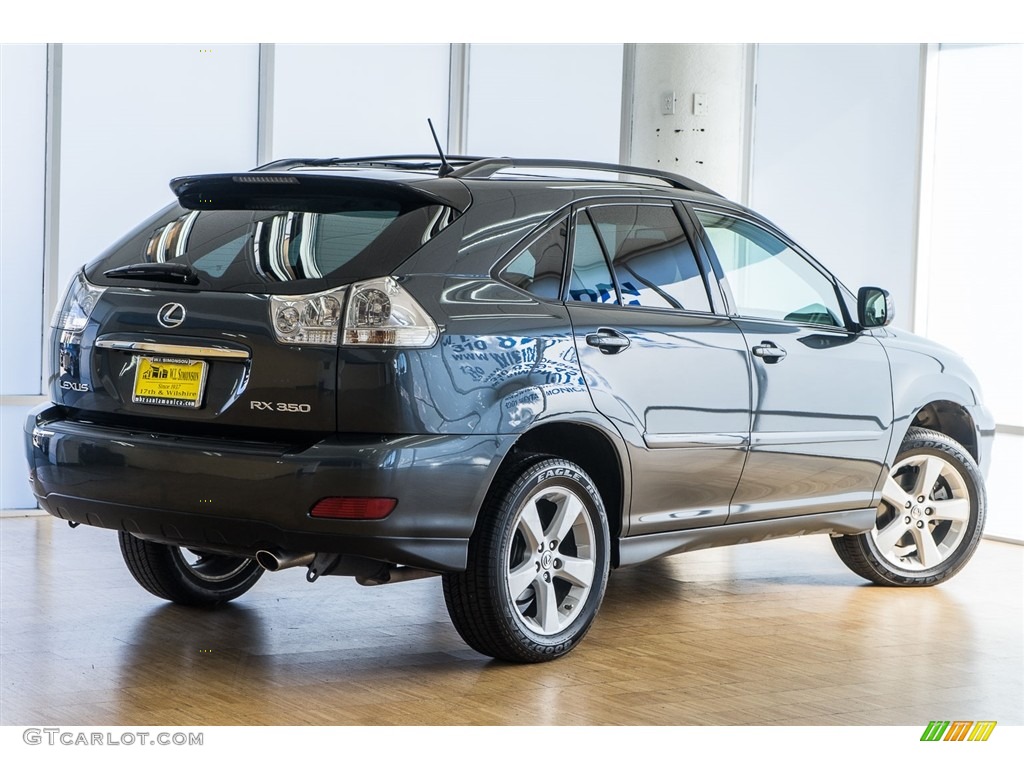 2007 RX 350 AWD - Flint Gray Mica / Black photo #15