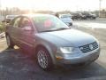 Stonehenge Grey Metallic - Passat W8 4Motion Sedan Photo No. 5