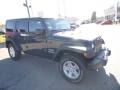 Rhino - Wrangler Unlimited Sport 4x4 Photo No. 11