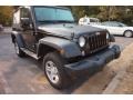 Black - Wrangler Sport 4x4 Photo No. 4