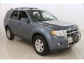 2010 Steel Blue Metallic Ford Escape Limited 4WD  photo #1