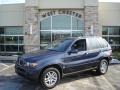 Toledo Blue Metallic 2005 BMW X5 3.0i