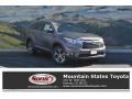 Predawn Gray Mica - Highlander XLE Photo No. 1
