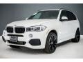 Mineral White Metallic - X5 xDrive35i Photo No. 14