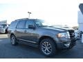 Magnetic 2017 Ford Expedition XLT 4x4 Exterior