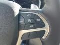 Brown/Light Frost Beige Controls Photo for 2017 Jeep Grand Cherokee #117055646