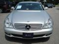 Iridium Silver Metallic - CLS 500 Photo No. 9