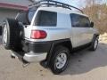 Titanium Metallic - FJ Cruiser 4WD Photo No. 8