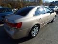 Golden Beige - Sonata GLS Photo No. 5