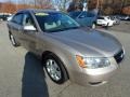 Golden Beige - Sonata GLS Photo No. 7
