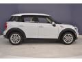 Light White - Countryman Cooper Photo No. 8