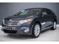 Magnetic Gray Metallic - Venza I4 Photo No. 14
