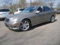 Pewter Metallic - C 230 Sport Photo No. 2