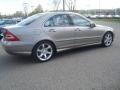 Pewter Metallic - C 230 Sport Photo No. 4