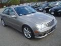 Pewter Metallic - C 230 Sport Photo No. 6