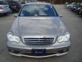 Pewter Metallic - C 230 Sport Photo No. 7