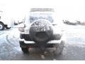 Iceberg White - FJ Cruiser 4WD Photo No. 3