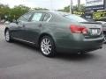 Cypress Green Pearl - GS 300 AWD Photo No. 3