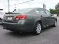 Cypress Green Pearl - GS 300 AWD Photo No. 5