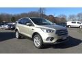 2017 White Gold Ford Escape SE 4WD  photo #1