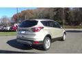 2017 White Gold Ford Escape SE 4WD  photo #7