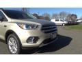 2017 White Gold Ford Escape SE 4WD  photo #26