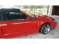 2004 Torch Red Ford Mustang Cobra Convertible  photo #3