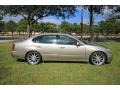 Burnished Gold - GS 300 Photo No. 2