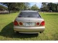 Burnished Gold - GS 300 Photo No. 6