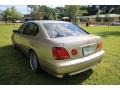 Burnished Gold - GS 300 Photo No. 7