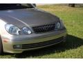Burnished Gold - GS 300 Photo No. 76