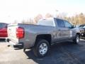 Pepperdust Metallic - Silverado 1500 LT Crew Cab 4x4 Photo No. 5