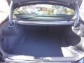 Black Trunk Photo for 2017 Dodge Charger #117135245