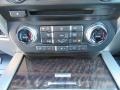 Ruby Red - F250 Super Duty Platinum Crew Cab 4x4 Photo No. 29
