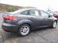 Magnetic - Focus SE Sedan Photo No. 2