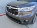 Predawn Gray Mica - Highlander LE Plus Photo No. 10