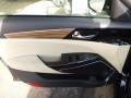 Beige 2017 Kia Cadenza Premium Door Panel