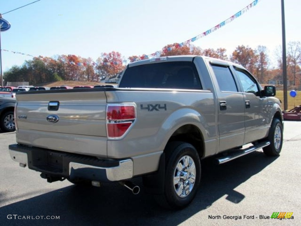 2010 F150 XLT SuperCrew 4x4 - Pueblo Gold Metallic / Tan photo #5